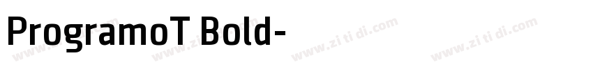 ProgramoT Bold字体转换